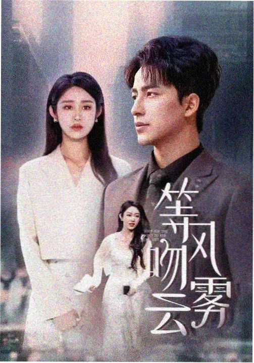 雾港回声犯罪心理剧免费在线观看